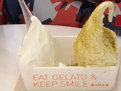 -野人先生现做冰淇淋(北京环宇荟店)