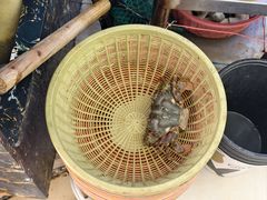 -鑫鸿达·海鲜闽菜热炒小馆(中山路店)