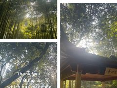-云栖竹径