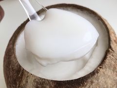 普通椰子冻-椰爺爺·椰子冻砵仔糕