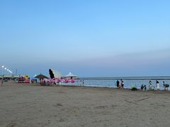 -碧海金沙