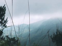 -军营村