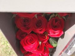-ROSEONLY诺誓(广州K11店)