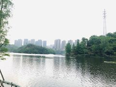 -重庆彩云湖湿地公园