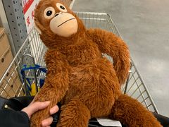 -宜家家居(哈尔滨商场店)