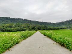 -艾米稻香小镇