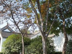 -南京中国近代史遗址博物馆(南京总统府)