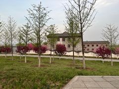 -北京西山国家森林公园