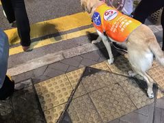 -海港城