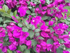 -北京宽沟会议中心