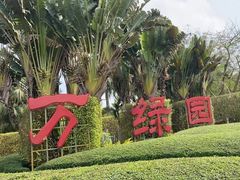 -万绿园