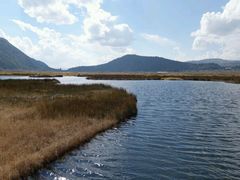 android_upload_pic-腾冲北海湿地