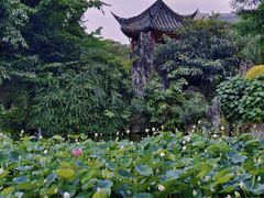 -成都市文化公园