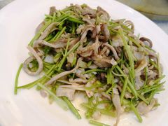 芫爆肚丝-泰丰楼(前门西大街店)