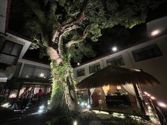 -普陀山雷迪森庄园