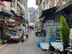 -苏州市皮市街花鸟工艺品市场