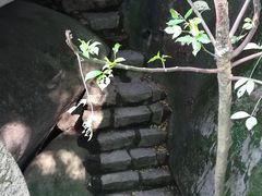 -云洞岩风景区