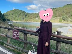 -武陵山森林公园