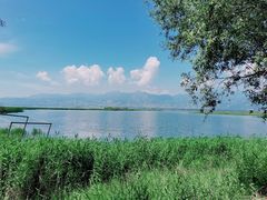 -野鸭湖国家湿地公园