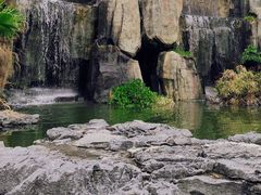 -粤晖园