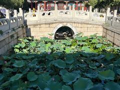 -颐和园