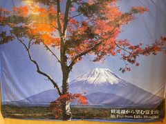 -半岛渔港 • 阿翁火锅馆(将军澳广场店)