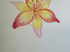 -谷隆画舍·国画书法素描彩铅水彩