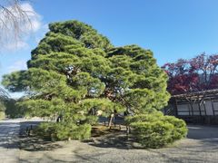 -醍醐寺