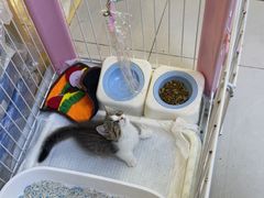 -悠尼宠物·独立低压伊珊娜洗护·美容·寄养(兰谷路店)