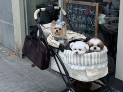 -小宝·路鼎记·福鼎特色小吃(富民路店)
