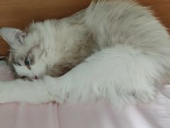 -同城假期·按摩足道·美容SPA(下水径站店)