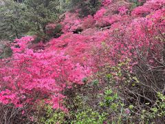 -木兰云雾山
