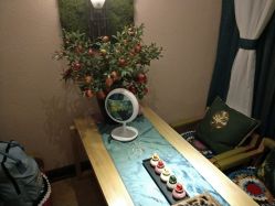 -琦品高端美容SPA会所