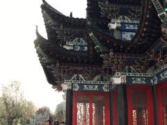 -武清南湖绿博园