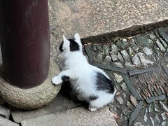 -西园戒幢律寺