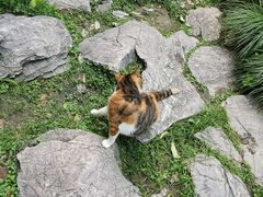 -静安公园(静安寺街道)