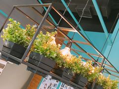 -海马体照相馆(佛山岭南站店)