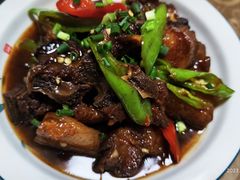-全乐鱼馆·淳牌有机鱼直营店