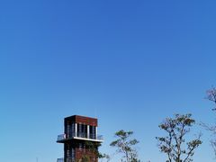 -春花秋色城市公园