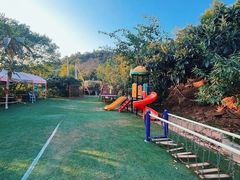 -桃源山庄·水蜜桃采摘·柴火鸡·烧烤团建(龙泉山店)