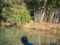 -红山村
