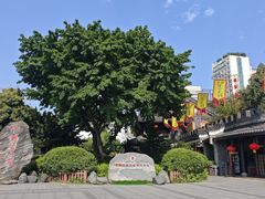 -泸州老窖景区