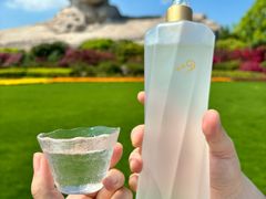 -橘子洲景区