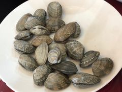-山海关清和浑锅店