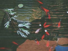-昆明洲际酒店