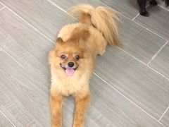 iphone_upload_pic-A+摄影