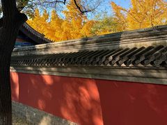 -北京国子监胡同