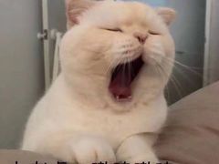 -超级奶爸(同安路店)