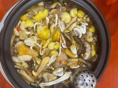 -菌之家·专业纯野生菌火锅·特色炒菌