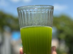 -Sultan pakistan苏单巴基斯坦